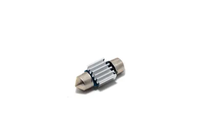 31MM FESTOON WHITE