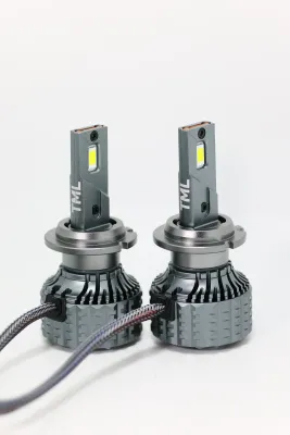 D2S retrofit LED kit
